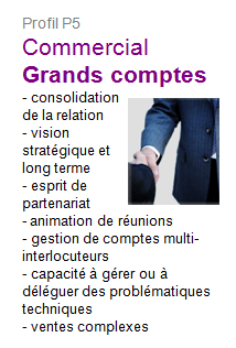 http://www.naxen.fr/images/profil_grands_comptes_P5.gif