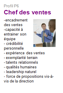 http://www.naxen.fr/images/profil_chefdesventes_P6.gif